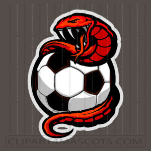 Soccer Vipers Design